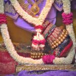 धर्मपुर के प्राचीन शिव मंदिर में भव्य कलश यात्रा के साथ श्री शिव महापुराण कथा ज्ञान महायज्ञ का शुभारंभ
